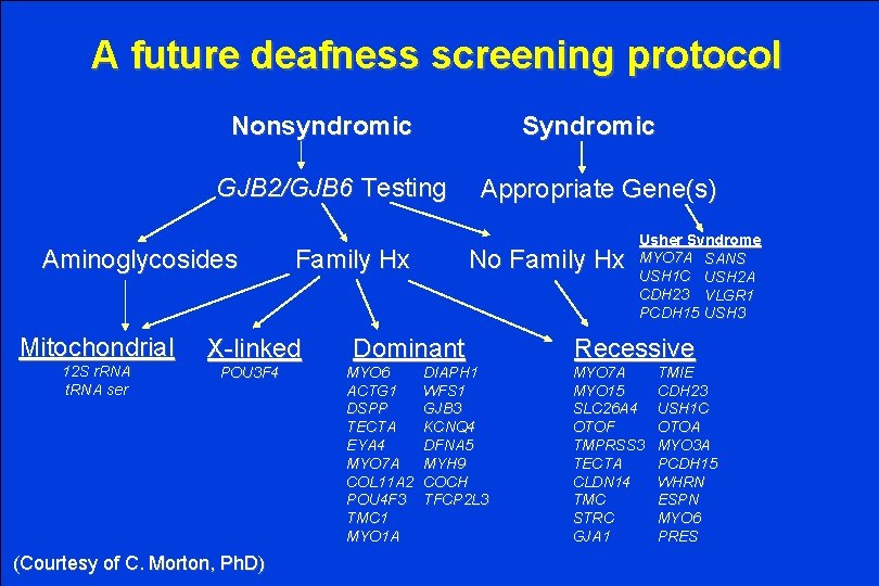 A future deafness screening protocol Nonsyndromic Syndromic GJB 2/GJB 6 Testing Aminoglycosides Mitochondrial 12