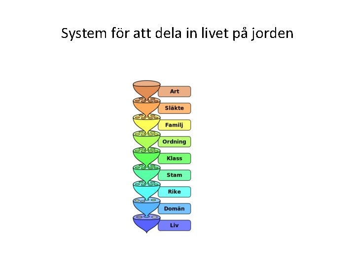 System för att dela in livet på jorden 