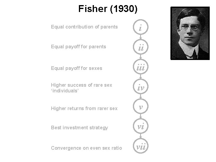 Fisher (1930) Equal contribution of parents i Equal payoff for parents ii Equal payoff