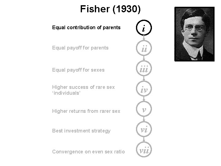 Fisher (1930) Equal contribution of parents i Equal payoff for parents ii Equal payoff