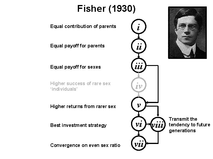 Fisher (1930) Equal contribution of parents i Equal payoff for parents ii Equal payoff