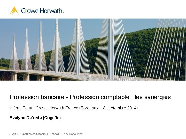 Profession bancaire - Profession comptable : les synergies VIème Forum Crowe Horwath France (Bordeaux,