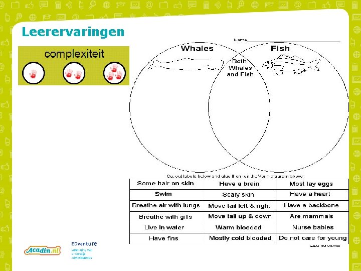 Leerervaringen 