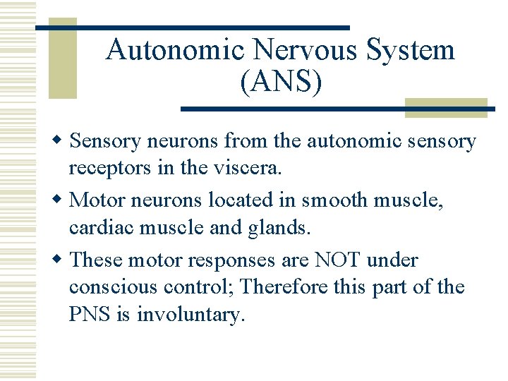 Autonomic Nervous System (ANS) w Sensory neurons from the autonomic sensory receptors in the