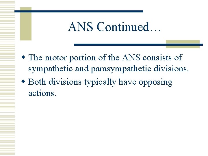 ANS Continued… w The motor portion of the ANS consists of sympathetic and parasympathetic