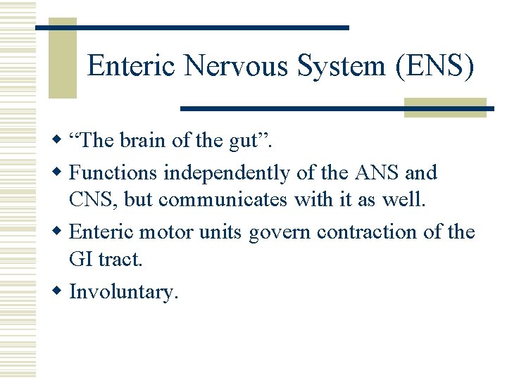 Enteric Nervous System (ENS) w “The brain of the gut”. w Functions independently of