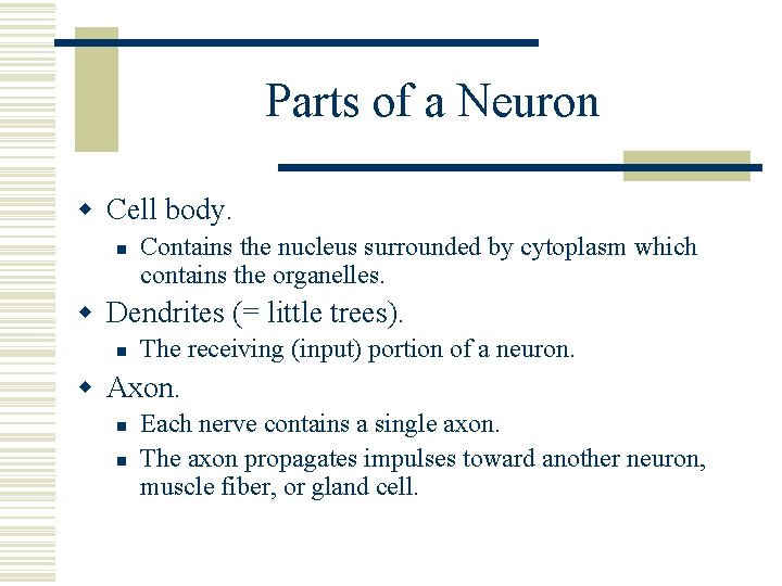 Parts of a Neuron w Cell body. n Contains the nucleus surrounded by cytoplasm