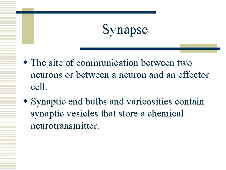 Synapse w The site of communication between two neurons or between a neuron and