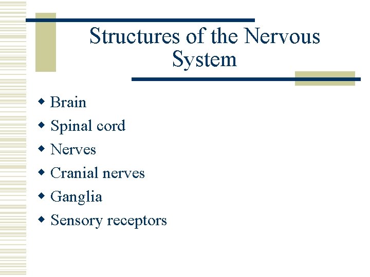 Structures of the Nervous System w Brain w Spinal cord w Nerves w Cranial