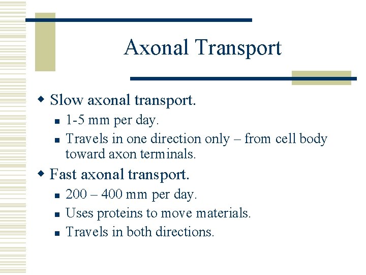 Axonal Transport w Slow axonal transport. n n 1 -5 mm per day. Travels