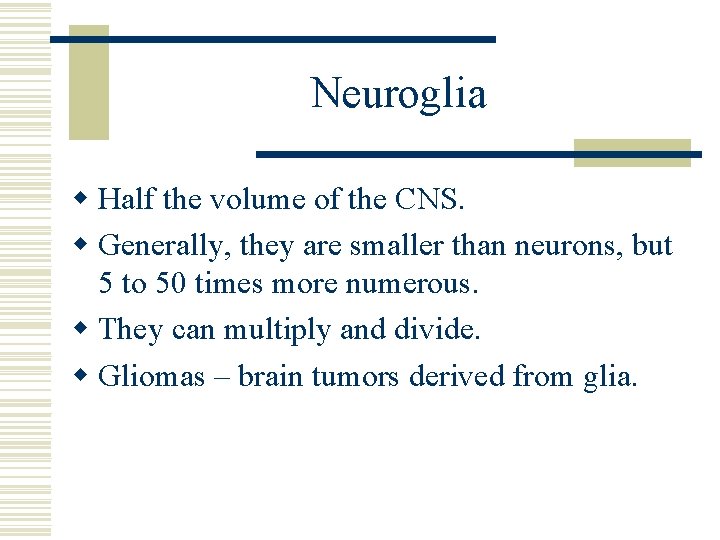 Neuroglia w Half the volume of the CNS. w Generally, they are smaller than