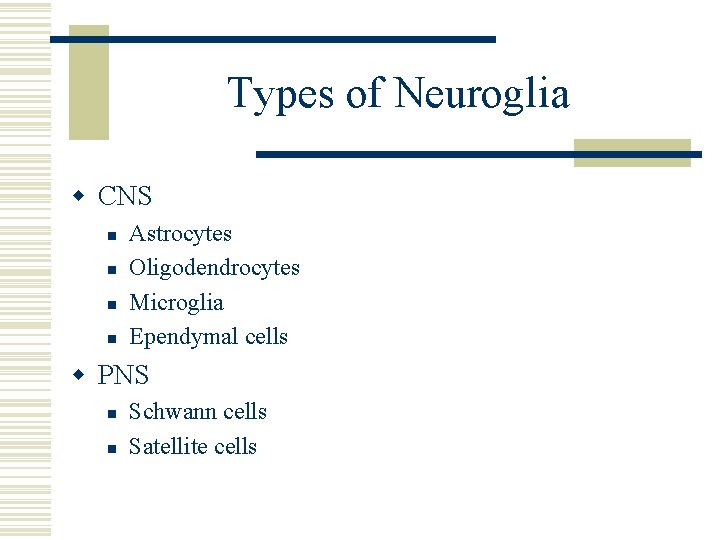 Types of Neuroglia w CNS n n Astrocytes Oligodendrocytes Microglia Ependymal cells w PNS