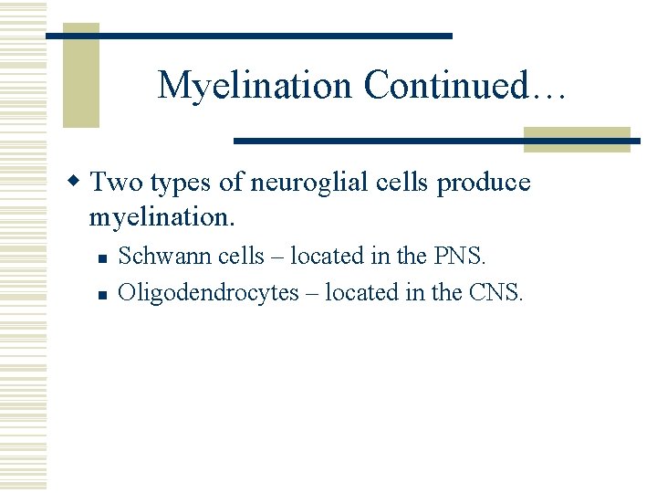 Myelination Continued… w Two types of neuroglial cells produce myelination. n n Schwann cells