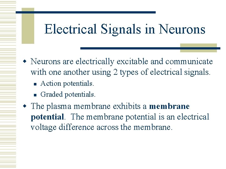 Electrical Signals in Neurons w Neurons are electrically excitable and communicate with one another