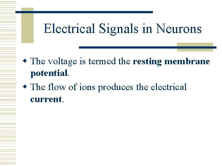 Electrical Signals in Neurons w The voltage is termed the resting membrane potential. w