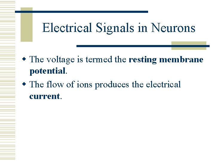 Electrical Signals in Neurons w The voltage is termed the resting membrane potential. w