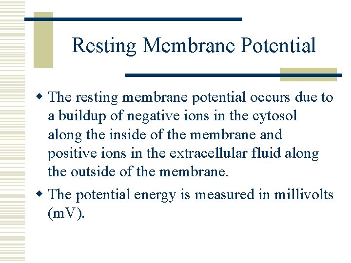 Resting Membrane Potential w The resting membrane potential occurs due to a buildup of