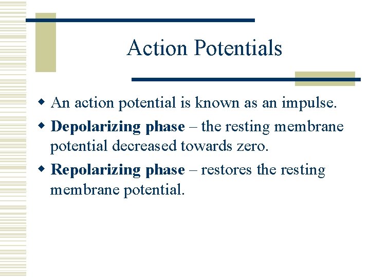 Action Potentials w An action potential is known as an impulse. w Depolarizing phase