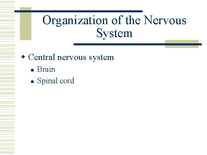 Organization of the Nervous System w Central nervous system n n Brain Spinal cord