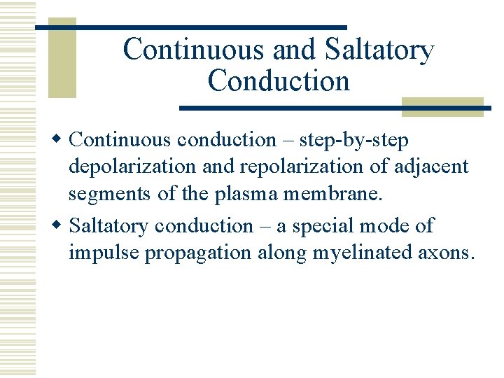 Continuous and Saltatory Conduction w Continuous conduction – step-by-step depolarization and repolarization of adjacent