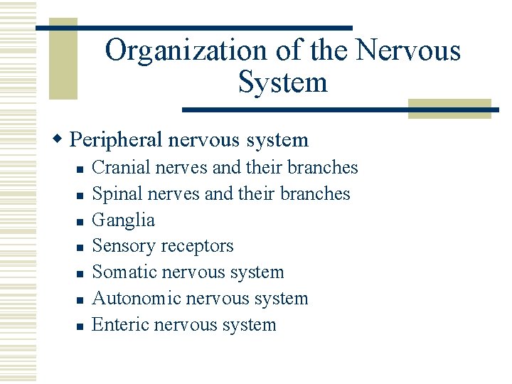 Organization of the Nervous System w Peripheral nervous system n n n n Cranial