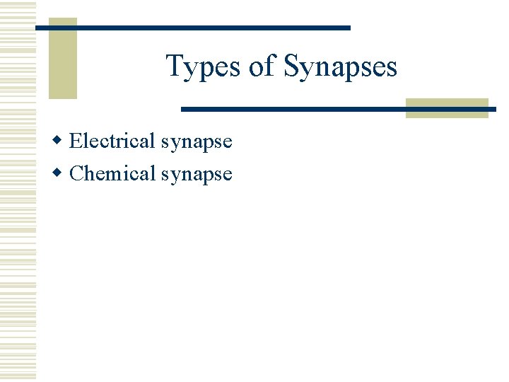 Types of Synapses w Electrical synapse w Chemical synapse 