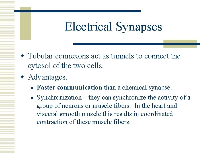 Electrical Synapses w Tubular connexons act as tunnels to connect the cytosol of the