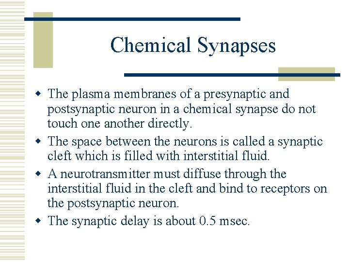 Chemical Synapses w The plasma membranes of a presynaptic and postsynaptic neuron in a