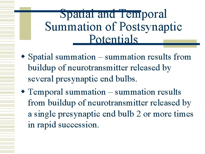 Spatial and Temporal Summation of Postsynaptic Potentials w Spatial summation – summation results from