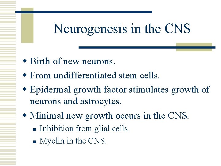 Neurogenesis in the CNS w Birth of new neurons. w From undifferentiated stem cells.