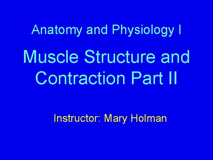 Anatomy and Physiology I Muscle Structure and Contraction Part II Instructor: Mary Holman 