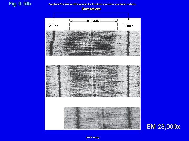 Fig. 9. 10 b Copyright © The Mc. Graw-Hill Companies, Inc. Permission required for