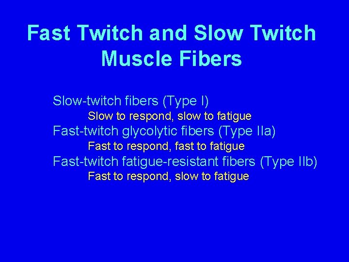 Fast Twitch and Slow Twitch Muscle Fibers Slow-twitch fibers (Type I) Slow to respond,