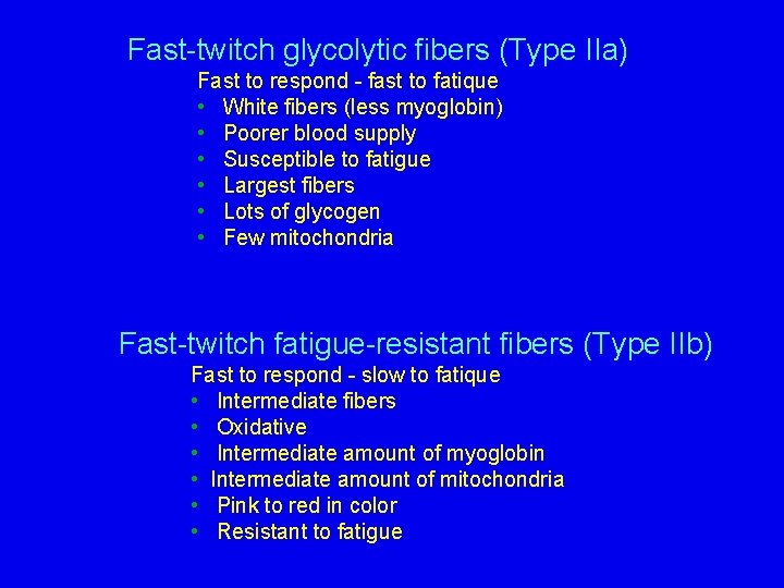 Fast-twitch glycolytic fibers (Type IIa) Fast to respond - fast to fatique • White