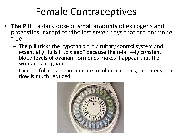 Female Contraceptives • The Pill—a daily dose of small amounts of estrogens and progestins, Female Contraceptives • The Pill—a daily dose of small amounts of estrogens and progestins,