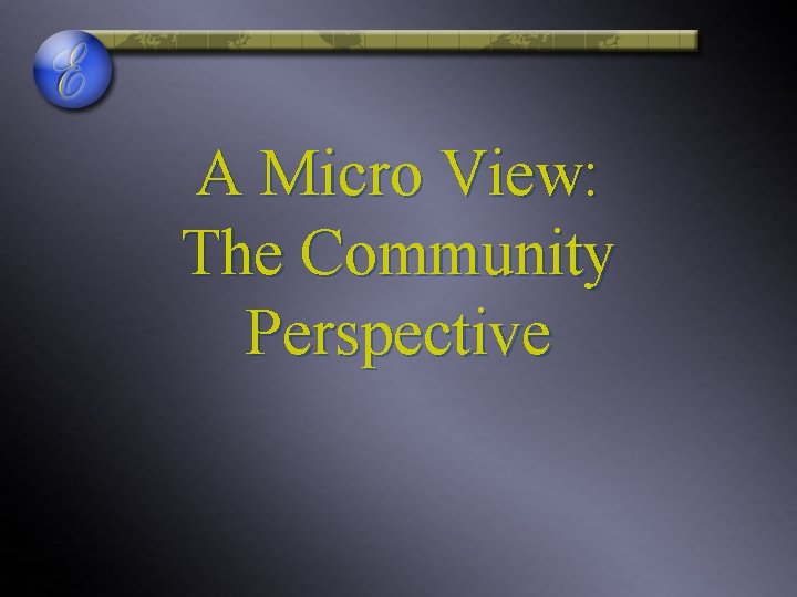 A Micro View: The Community Perspective 