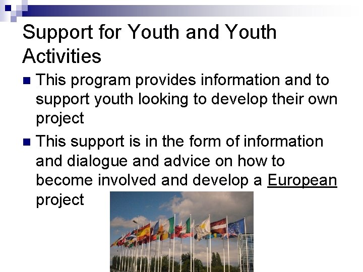 Support for Youth and Youth Activities This program provides information and to support youth