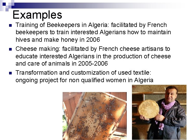 Examples n n n Training of Beekeepers in Algeria: facilitated by French beekeepers to