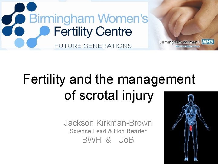 Fertility and the management of scrotal injury Jackson Kirkman-Brown Science Lead & Hon Reader