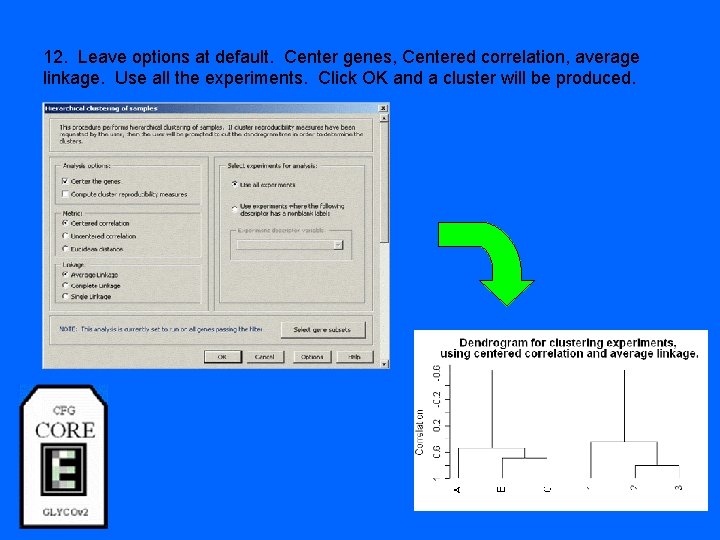 12. Leave options at default. Center genes, Centered correlation, average linkage. Use all the