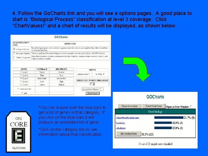 4. Follow the Go. Charts link and you will see a options pages. A