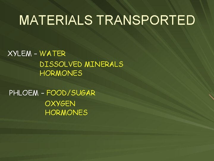 MATERIALS TRANSPORTED XYLEM – WATER DISSOLVED MINERALS HORMONES PHLOEM – FOOD/SUGAR OXYGEN HORMONES 