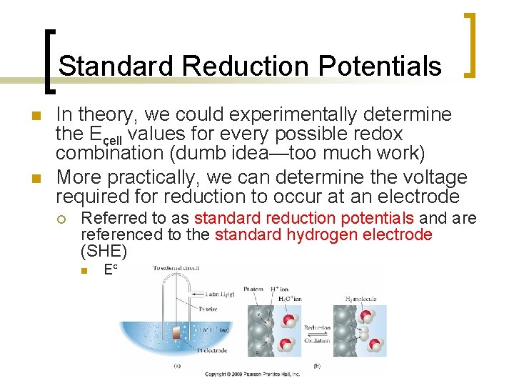 Standard Reduction Potentials n n In theory, we could experimentally determine the Ecell values