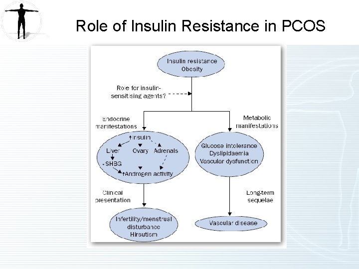 Role of Insulin Resistance in PCOS 