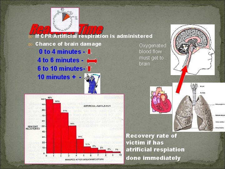 Reaction Time If CPR/Artificial respiration is administered Chance of brain damage 0 to 4