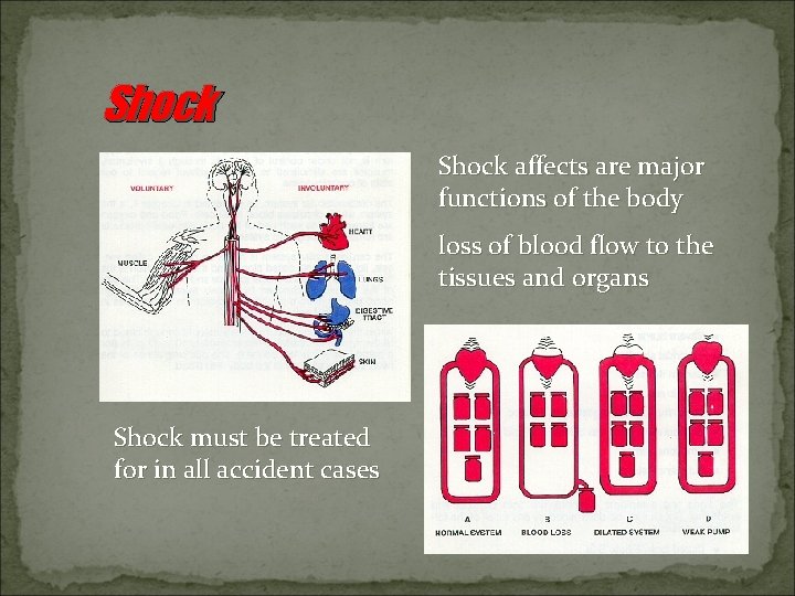 Shock affects are major functions of the body loss of blood flow to the