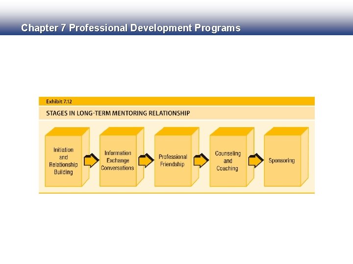 Chapter 7 Professional Development Programs 