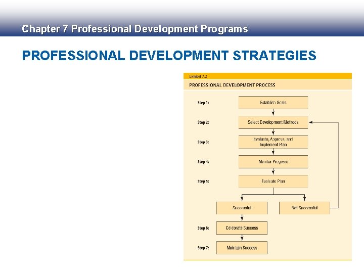 Chapter 7 Professional Development Programs PROFESSIONAL DEVELOPMENT STRATEGIES 