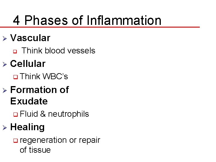 4 Phases of Inflammation Ø Vascular q Ø Think blood vessels Cellular q Think