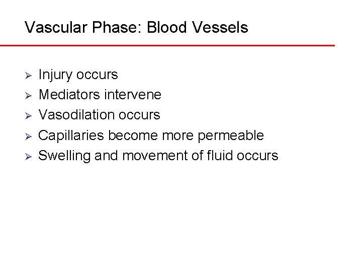 Vascular Phase: Blood Vessels Ø Ø Ø Injury occurs Mediators intervene Vasodilation occurs Capillaries